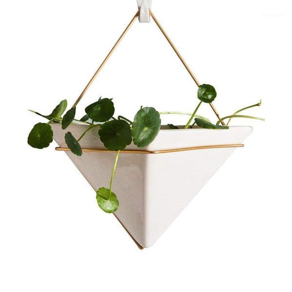 decorative flowers & wreaths hanging planter for indoor plants, geometric wall decor container - great succulent air plant, faux plants1
decorative flowers & wreaths hanging planter for indoor plants, geometric wall decor container - great succulent air plant, faux plants1