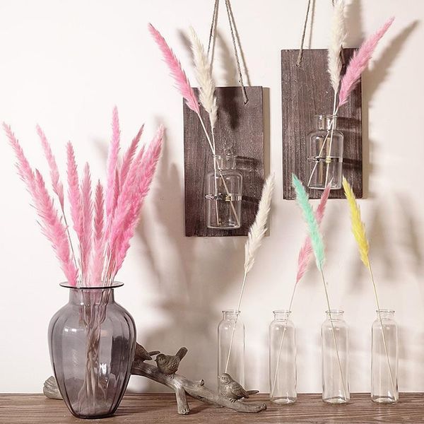 15pcs reed natural decoration home bunch dried pampas wedding flower bunch bulrush bouquets flavorful small durable1
15pcs reed natural decoration home bunch dried pampas wedding flower bunch bulrush bouquets flavorful small durable1