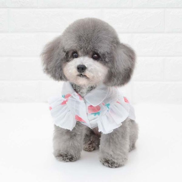 dog clothes spring and summer strawberry print pet clothes puppy dog shirt small pet shirt bottoming1
dog clothes spring and summer strawberry print pet clothes puppy dog shirt small pet shirt bottoming1