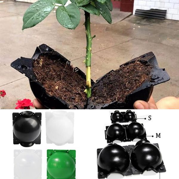 5pcs plant root growing box high pressure gardening plant root ball breeding case for garden grafting rooting wmtrpk
5pcs plant root growing box high pressure gardening plant root ball breeding case for garden grafting rooting wmtrpk