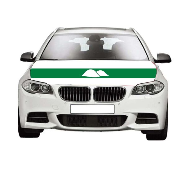 kurgan oblast flags 3.3x5ft 100%polyester,car bonnet banner
kurgan oblast flags 3.3x5ft 100%polyester,car bonnet banner