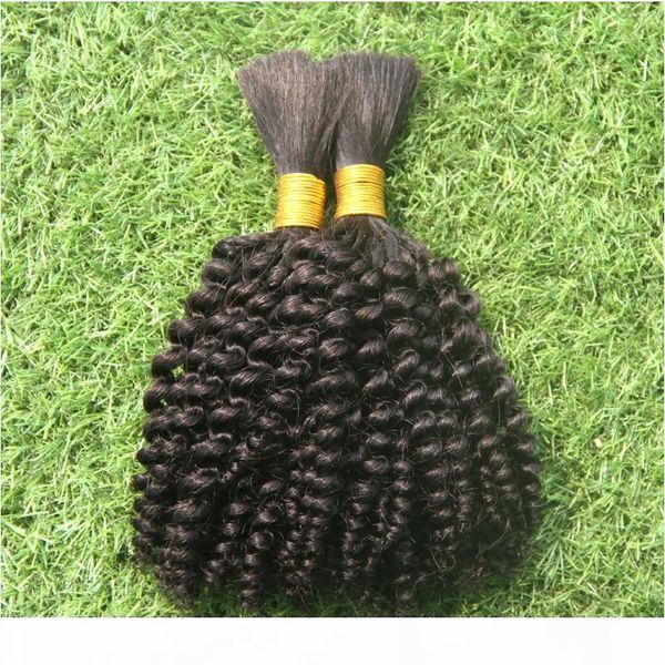 pure color 10-30 inchs for braiding bulk no attachment 100% human hair weave 6a kinky curly hair extensions, Black
pure color 10-30 inchs for braiding bulk no attachment 100% human hair weave 6a kinky curly hair extensions, Black