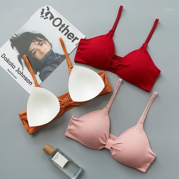 bra bralette push up bras for women lingerie comfortable seamless wire underwear1, Red;black
bra bralette push up bras for women lingerie comfortable seamless wire underwear1, Red;black