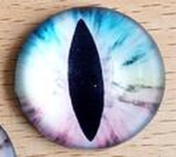 2pcs 10 15 20 25 мм пластиковые куклы глаза diy дети игрушка динозавр животных eyeball куклы аксессуары черный пластиковые ремесла глаза wmt
2pcs 10 15 20 25 мм пластиковые куклы глаза diy дети игрушка динозавр животных eyeball куклы аксессуары черный пластиковые ремесла глаза wmt