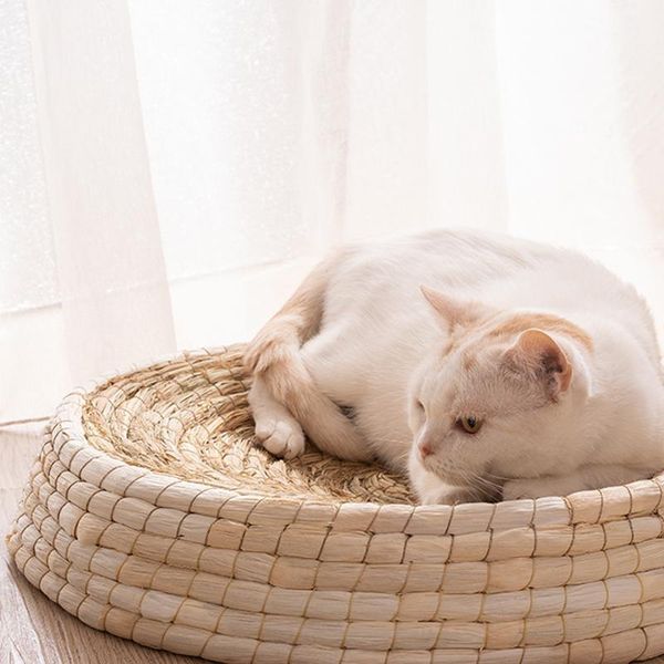 cat scratch board bowl cat bed house mat nset straw plaited nest claw sharpener claw basin handmade weaving rest bed1
cat scratch board bowl cat bed house mat nset straw plaited nest claw sharpener claw basin handmade weaving rest bed1