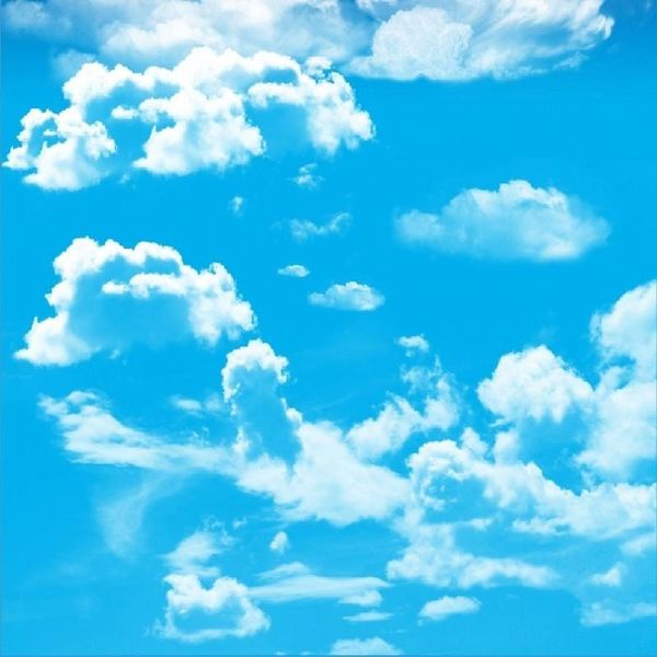 dropship p wallpaper custom 3d large blue sky wallpaper mural ceiling living room tv backdrop 3d wall murals
dropship p wallpaper custom 3d large blue sky wallpaper mural ceiling living room tv backdrop 3d wall murals