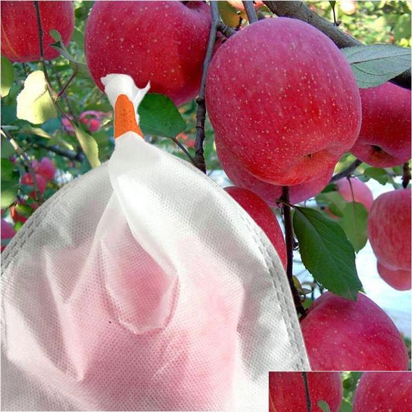 fabric fruit plants flowers seeds protection netting bags prevent birds bugs squirrels for garden farm for pr qylqka garden2010
fabric fruit plants flowers seeds protection netting bags prevent birds bugs squirrels for garden farm for pr qylqka garden2010