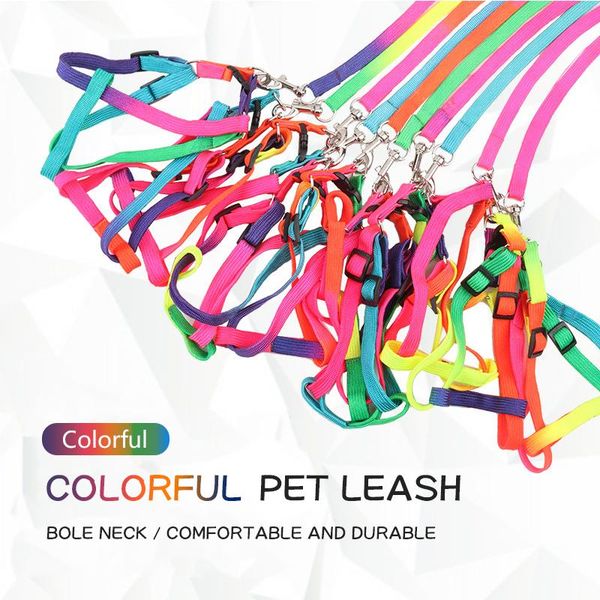 dog collars & leashes adjustable rainbow leash harness nylon colorful outdoor safety walking traction rope for dogs lead belt pet supplies
dog collars & leashes adjustable rainbow leash harness nylon colorful outdoor safety walking traction rope for dogs lead belt pet supplies
