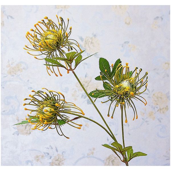 белые leucospermum искусственные цветы длинные ветви поддельных цветок пластиковые цветы для украшения свадьбы сад открытый высокое качество
белые leucospermum искусственные цветы длинные ветви поддельных цветок пластиковые цветы для украшения свадьбы сад открытый высокое качество