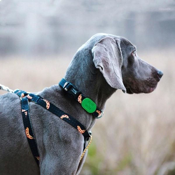 dog collar dog leash high-density polyester tape is soft and comfortable small-large leads accessories supplies1
dog collar dog leash high-density polyester tape is soft and comfortable small-large leads accessories supplies1