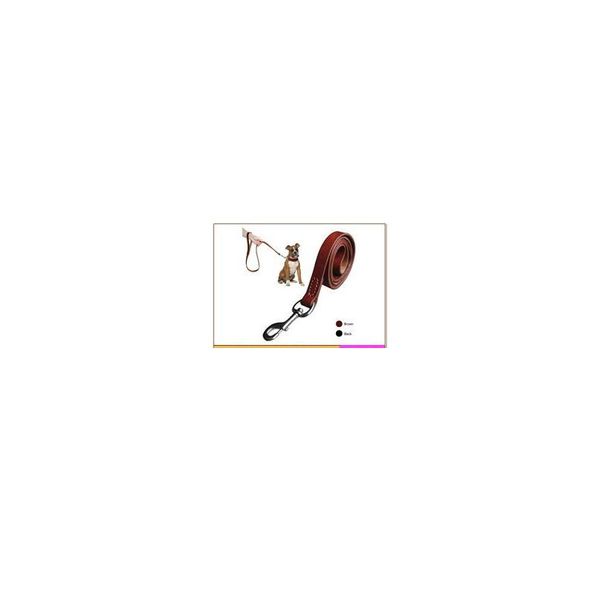 geniune leather pet dog leash rope pet k9 training walking lead leashes for medium large dogs quick control with 2 bbydbj
geniune leather pet dog leash rope pet k9 training walking lead leashes for medium large dogs quick control with 2 bbydbj