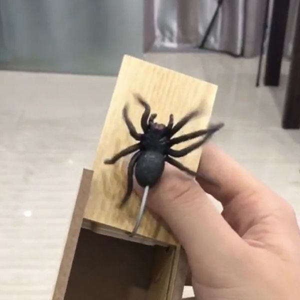 tiktok frightens spider wood box, thing is evil, funny, revenge, whole person, magic device, practical joke, the
tiktok frightens spider wood box, thing is evil, funny, revenge, whole person, magic device, practical joke, the