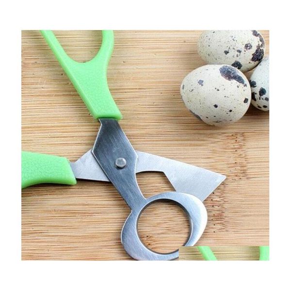 stainless steel pigeon quail egg shells scissors bird cutter opener egg slicers cigar cutter ki jllzay dh_garden
stainless steel pigeon quail egg shells scissors bird cutter opener egg slicers cigar cutter ki jllzay dh_garden