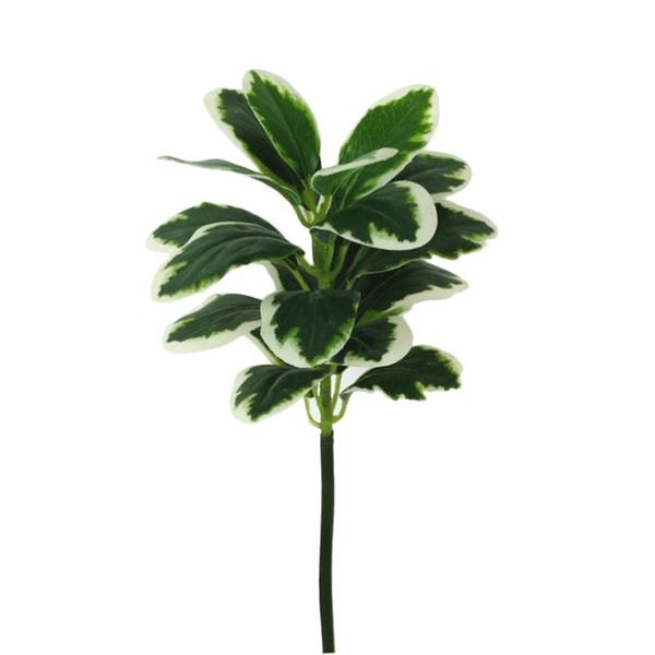 artificial branches simulation plants leave flower 62cm length home wall decoration bouquet props banyan kapok leaves tree decor
artificial branches simulation plants leave flower 62cm length home wall decoration bouquet props banyan kapok leaves tree decor