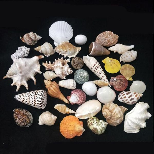 candles ocean shells jelly wax candle sea natural shell conch wedding decoration candle diy valentines christmas supplies wmtlhh
candles ocean shells jelly wax candle sea natural shell conch wedding decoration candle diy valentines christmas supplies wmtlhh