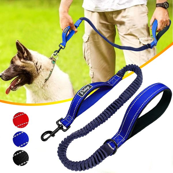 nylon reflective bungee lead safety elastic pet dog walking training belt rope 2 handle
nylon reflective bungee lead safety elastic pet dog walking training belt rope 2 handle
