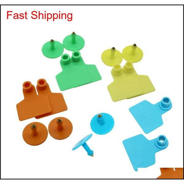 pig ear tags 3 colors no word animal identification label farm equipment animal livestock f qylhak bdenet
pig ear tags 3 colors no word animal identification label farm equipment animal livestock f qylhak bdenet