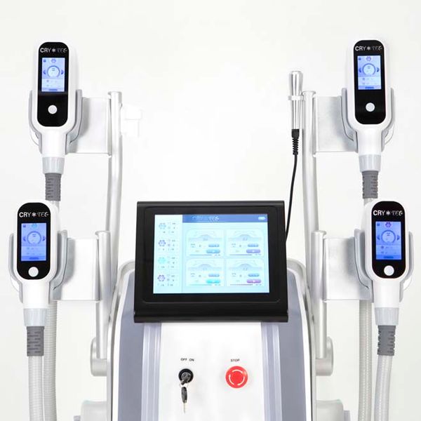 slimming machines 3 cryo handles cellulite treatment lipocryo fat ing kryolipolyse device liposuction slim er kryolipolysis weight loss
slimming machines 3 cryo handles cellulite treatment lipocryo fat ing kryolipolyse device liposuction slim er kryolipolysis weight loss