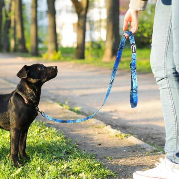 fashion nylon dog leash lead printed pet puppy running leash dogs walking leashes rope belt for small medium dogs pet sqcezb
fashion nylon dog leash lead printed pet puppy running leash dogs walking leashes rope belt for small medium dogs pet sqcezb