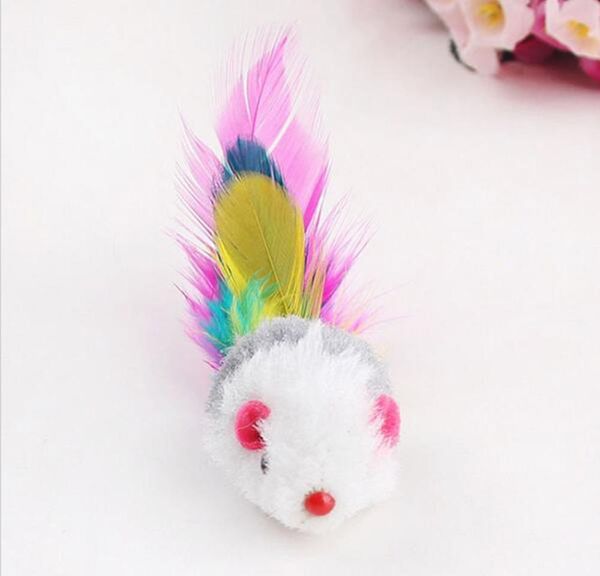10pcs funny soft fleece false mouse cat toys colorful feather playing kitten t jllgrk bdebag
10pcs funny soft fleece false mouse cat toys colorful feather playing kitten t jllgrk bdebag