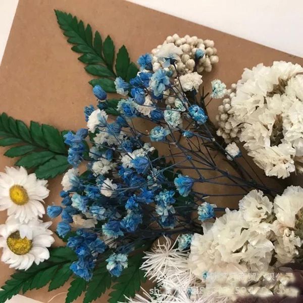 1pack nature fresh preserved flowers,diy press floral for p frame card gift box wedding decor ,valentine's day gifts1
1pack nature fresh preserved flowers,diy press floral for p frame card gift box wedding decor ,valentine's day gifts1