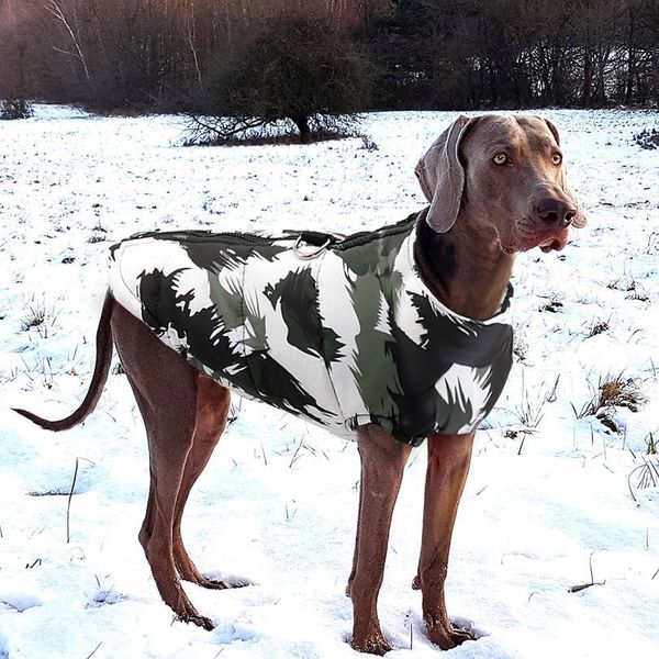 winter pet dog clothes french bulldog pet warm jacket coat waterproof dog clothing outfit vest for small medium la sqcmih 
winter pet dog clothes french bulldog pet warm jacket coat waterproof dog clothing outfit vest for small medium la sqcmih