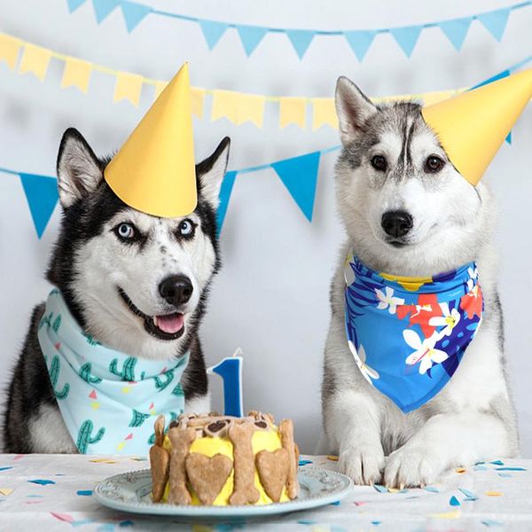 dog cat bandana collar cotton printed pet puppy cat scarf neckerchief adjustable puppy cat dog bibs dog accessories pet wmtqvf
dog cat bandana collar cotton printed pet puppy cat scarf neckerchief adjustable puppy cat dog bibs dog accessories pet wmtqvf