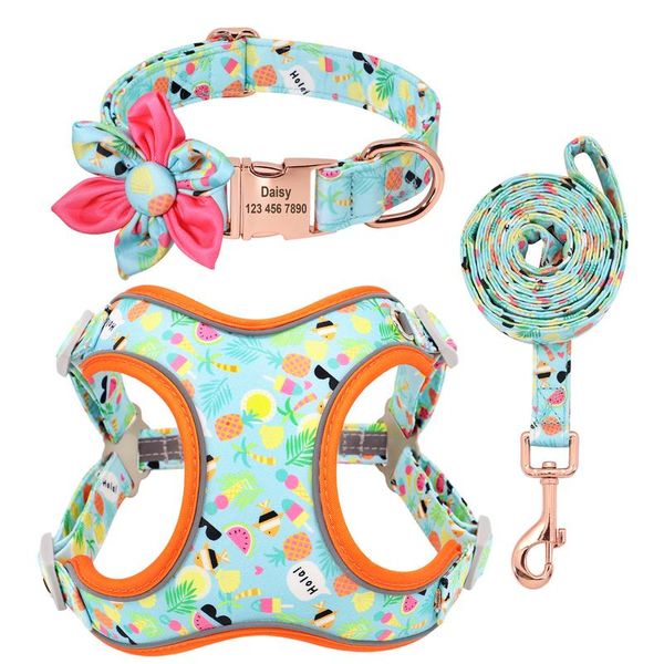 custom printed dog collar leash set personalized pet dog collar harnesses walking leash for medium large dogs french bbyved
custom printed dog collar leash set personalized pet dog collar harnesses walking leash for medium large dogs french bbyved