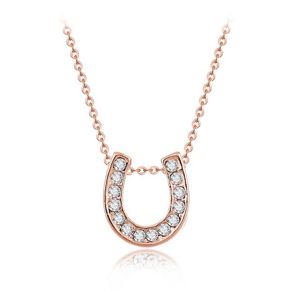 lureme fashion style gold tone pave crystal horseshoe design pendant necklace for women collares mujer (01003233-2, Silver
lureme fashion style gold tone pave crystal horseshoe design pendant necklace for women collares mujer (01003233-2, Silver