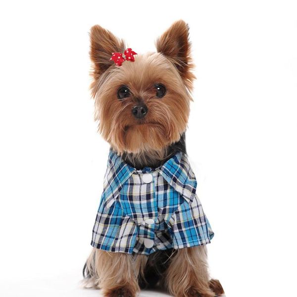 20/50/pcs cute pet grooming accessories dog hair bows with rubber bands crystal rhinestone boutique for long hair small sqcelp
20/50/pcs cute pet grooming accessories dog hair bows with rubber bands crystal rhinestone boutique for long hair small sqcelp