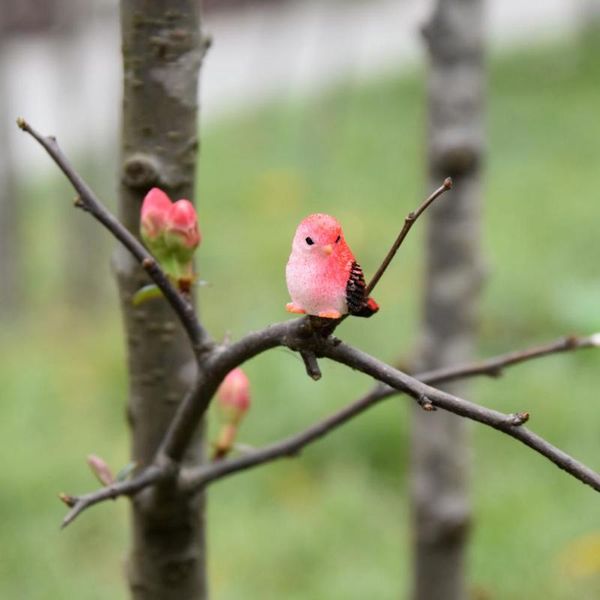 miniature lovely bird artifical resin micro landscape bonsai plant accessories diy fairy garden decorations table ornament
miniature lovely bird artifical resin micro landscape bonsai plant accessories diy fairy garden decorations table ornament