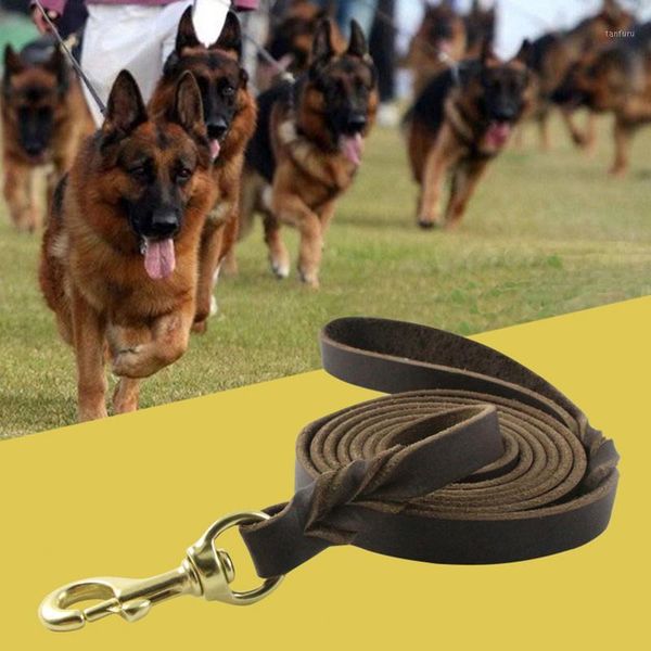 1.2m-2.6 m pet dog genuine leather leash big dog german shepherd lead leash outdoor wakling leashes for medium large dogs1
1.2m-2.6 m pet dog genuine leather leash big dog german shepherd lead leash outdoor wakling leashes for medium large dogs1