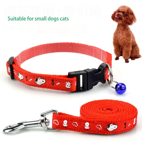 super pet with 1.0 cm wide collar, small medium dogs, cats, cute collar and bell dog lead rope
super pet with 1.0 cm wide collar, small medium dogs, cats, cute collar and bell dog lead rope