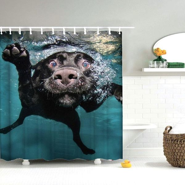 dafield dog shower curtain popular funny lovely labrador dog swimming in water polyester waterproof swimming shower curtain
dafield dog shower curtain popular funny lovely labrador dog swimming in water polyester waterproof swimming shower curtain