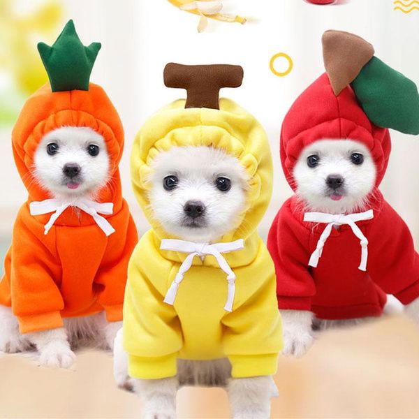 dog apparel sweet hooded sweater lovely fruit shaped christmas costum for chihuahua yorkies soft pet clothes
dog apparel sweet hooded sweater lovely fruit shaped christmas costum for chihuahua yorkies soft pet clothes