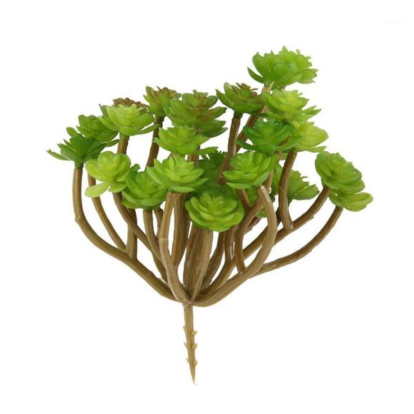 decorative flowers & wreaths 13 pcs 34 head fake cactus shrubs artificial succulent plants bushes faux plastic bundles floral home decoratio
decorative flowers & wreaths 13 pcs 34 head fake cactus shrubs artificial succulent plants bushes faux plastic bundles floral home decoratio