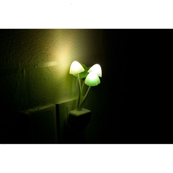 lamp mushroom night fungus led light sensor lotus leaf lantern magic colored bedroom lights
lamp mushroom night fungus led light sensor lotus leaf lantern magic colored bedroom lights