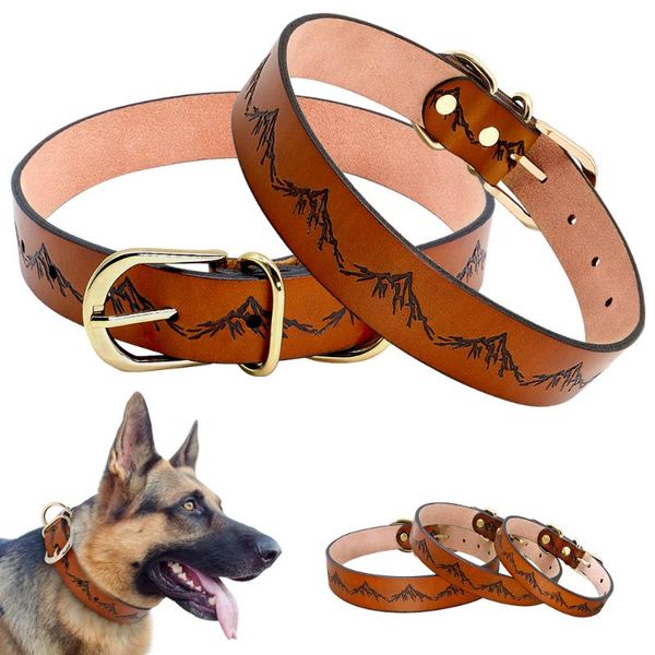 dog collars & leashes collar pet leather adjustable for medium large dogs pitbull german shepherd k9 products
dog collars & leashes collar pet leather adjustable for medium large dogs pitbull german shepherd k9 products