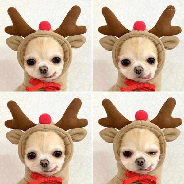 dog apparel pet elk transform into teddy warm autumn/winter sweater puppy cartoon clothes hoodie christmas xs-xl1
dog apparel pet elk transform into teddy warm autumn/winter sweater puppy cartoon clothes hoodie christmas xs-xl1