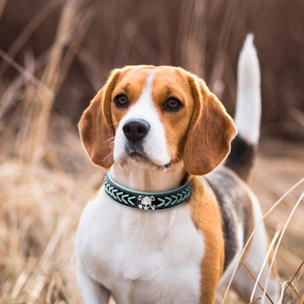 cool braided leather dog collar soft padded skull studded pet dogs collars adjustable for medium large dogs pitbull boxe bbyqcq
cool braided leather dog collar soft padded skull studded pet dogs collars adjustable for medium large dogs pitbull boxe bbyqcq