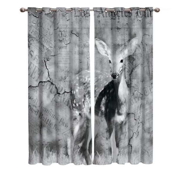 a black and white kangaroo on the background of an old wall window living room kitchen outdoor indoor1
a black and white kangaroo on the background of an old wall window living room kitchen outdoor indoor1