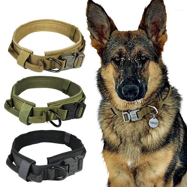 adjustable dog collar nylon tactical dogs collars control handle training pet cat dog collar outdoor hunting leash1
adjustable dog collar nylon tactical dogs collars control handle training pet cat dog collar outdoor hunting leash1