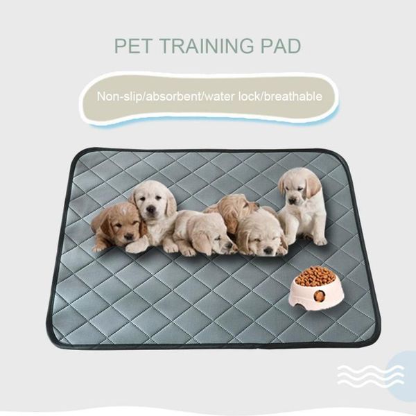 pet mat soft and comfortable waterproof and non-slip instant water-absorbing washable cat dog urine mat
pet mat soft and comfortable waterproof and non-slip instant water-absorbing washable cat dog urine mat