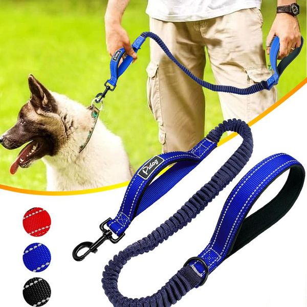 dog leash reflective nylon bungee dog running leash lead safety elastic pet puppy walking training leashes rope belt 2 wmtyhr
dog leash reflective nylon bungee dog running leash lead safety elastic pet puppy walking training leashes rope belt 2 wmtyhr