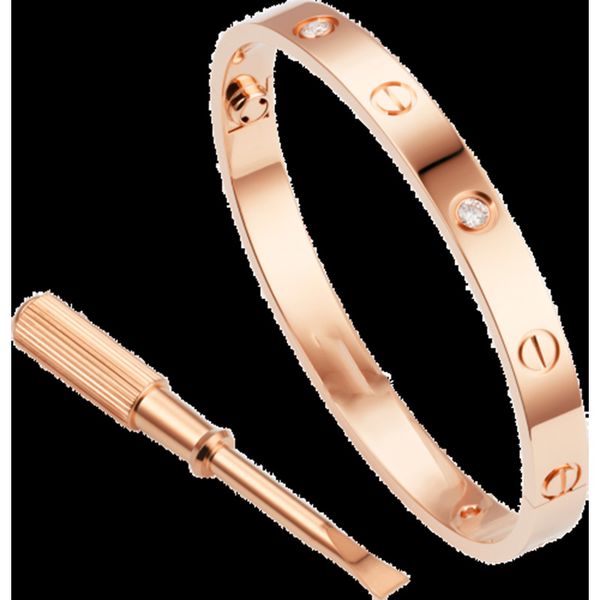 valentine's day gold, white gold and rose gold stainless steel bangle bracelet with screwdriver and 4 stone with box set, Black
valentine's day gold, white gold and rose gold stainless steel bangle bracelet with screwdriver and 4 stone with box set, Black