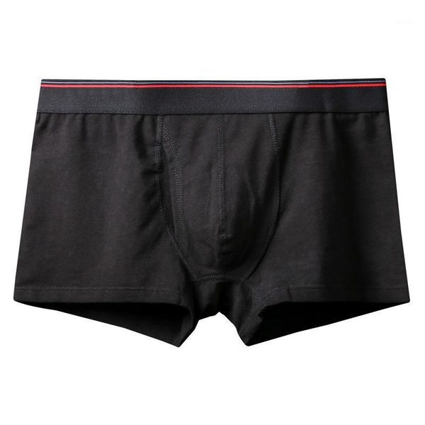 new fashion cotton men's long boxers shorts male underpant mr. undewear household large boxers shorts mans panties 9xl1, Black;white
new fashion cotton men's long boxers shorts male underpant mr. undewear household large boxers shorts mans panties 9xl1, Black;white