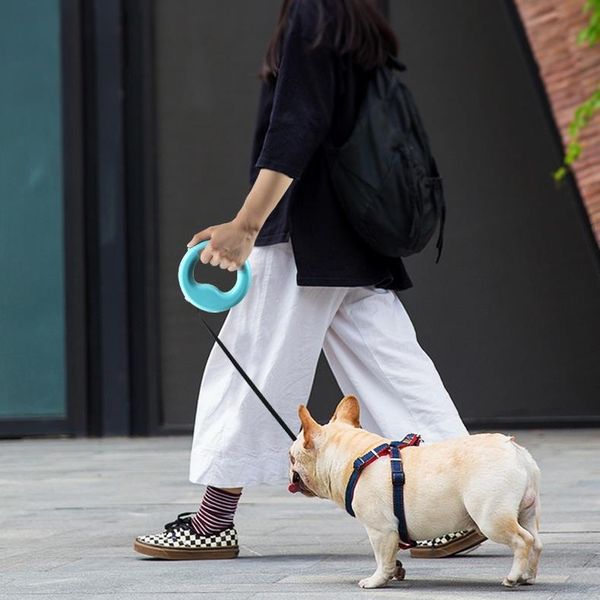 3m lights retractable dog leash automatic nylon durable dog leash pet dogs cat round traction rope leashes tool for
