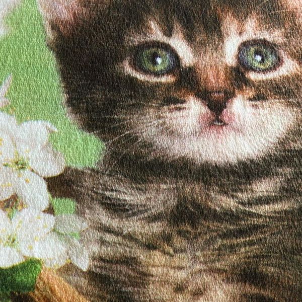 printing lovable cat foam bathroom mat two dogs floor mats strong water absorption entrance doormat 4570cm jllqht yy_dhhome
printing lovable cat foam bathroom mat two dogs floor mats strong water absorption entrance doormat 4570cm jllqht yy_dhhome