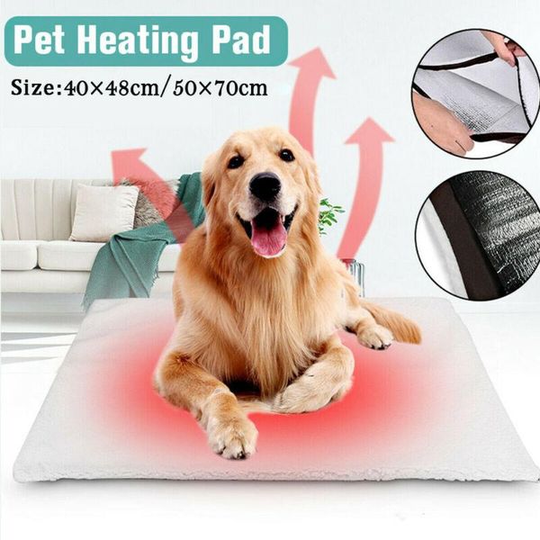 kennels & pens self heating thermal pet bed cushion heated mat dog cat washable super warm rug
kennels & pens self heating thermal pet bed cushion heated mat dog cat washable super warm rug