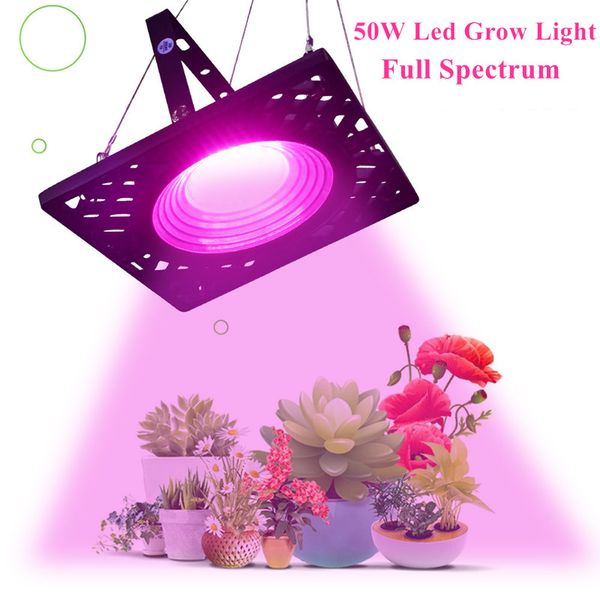 2022 eu/us/au led grow light flood lamp hanging 50w full spectrum lighting for indoor grow box
2022 eu/us/au led grow light flood lamp hanging 50w full spectrum lighting for indoor grow box